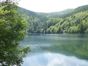 Visiter l'Alsace au coeur de la nature