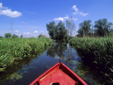 Visiter les marais de Saint-Omer